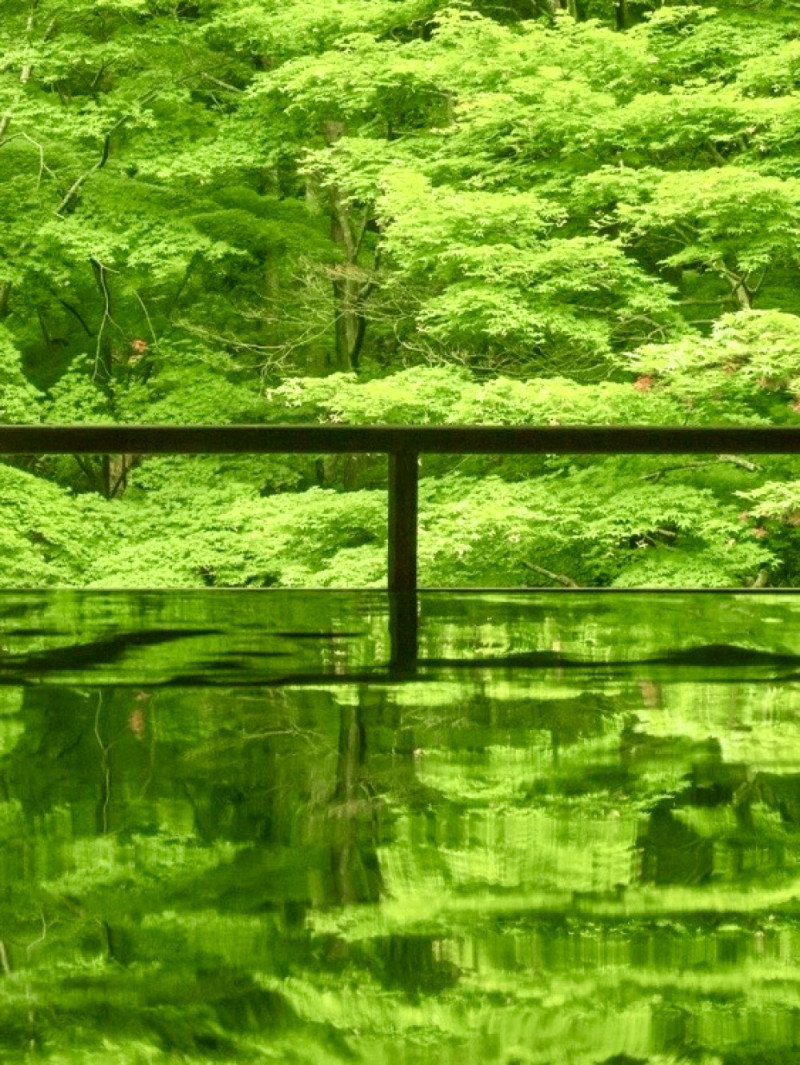 櫻井(大阪萬天堂)