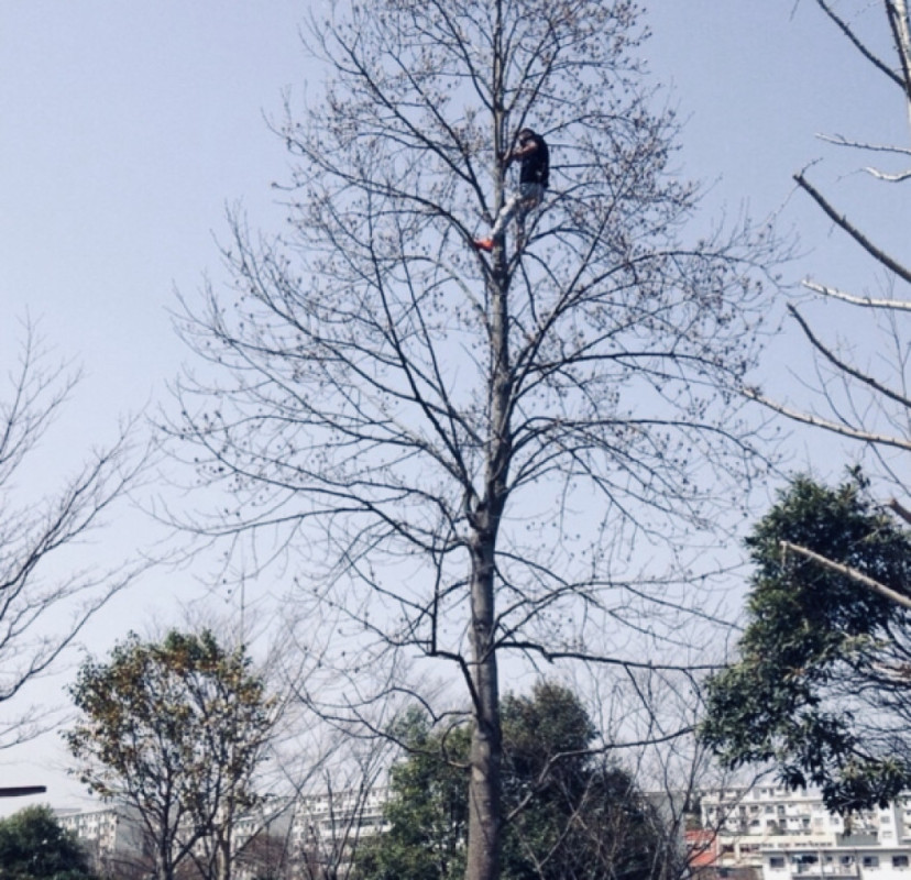 KURO(京都萬天堂)