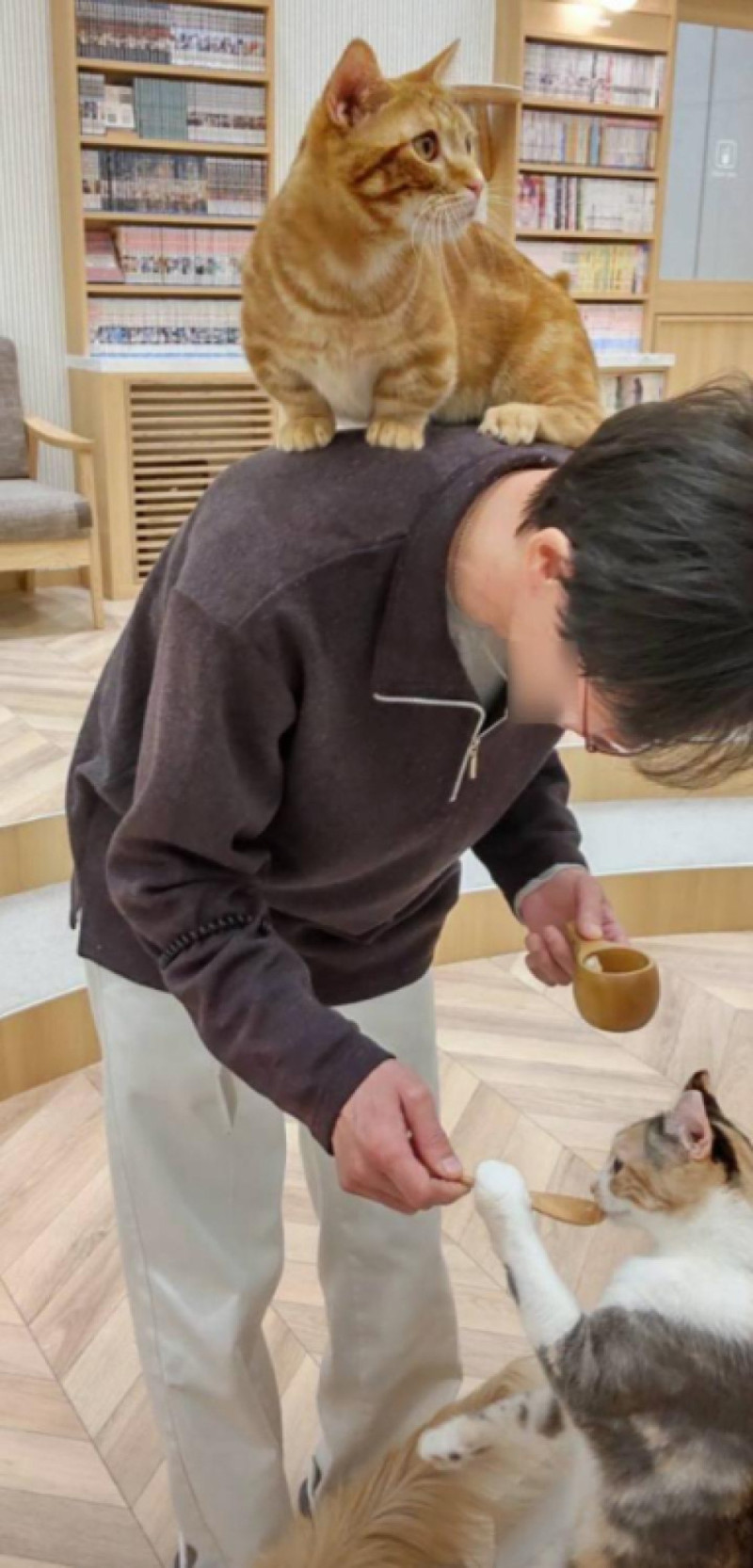 友斗・42歳（水戸萬天堂）のプロフィール画像④