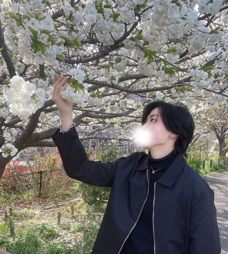 ハルヤ(東京萬天堂)