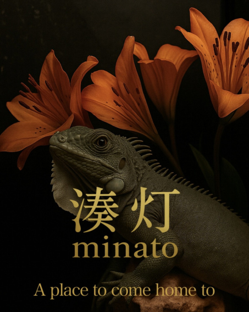 湊灯・31歳（鹿児島萬天堂）のプロフィール画像②