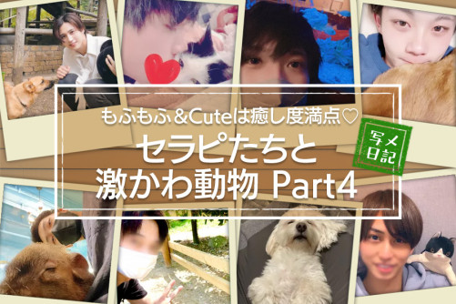 もふもふ&Cuteな姿は癒し度満点♡「セラピと激かわ動物」ニュース!Part.4