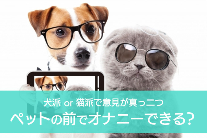 ペットの前でオナニーできる？犬派 or 猫派で意見が真っ二つに！