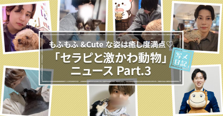 もふもふ&Cuteな姿は癒し度満点♡　「セラピと激かわ動物」ニュース！Part.3