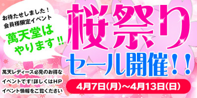 ☆2025桜祭り割開催☆