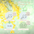 3周年キャンペーン！