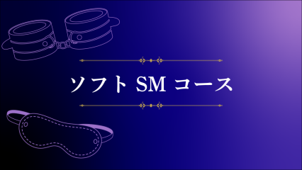 ソフトSMコースのご紹介