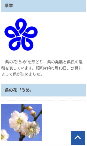 今週の出勤予約状況（8日〜18日）