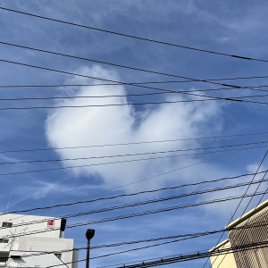 11月後半