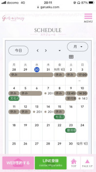 11月前半のスケジュール