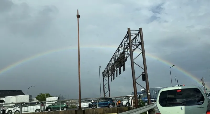 梅雨も明けて、もう8月