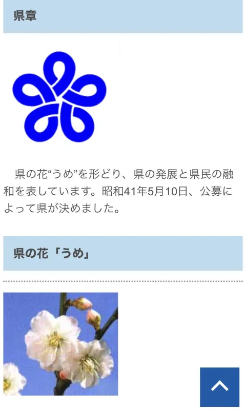 今週の出勤予約状況（8日〜18日）