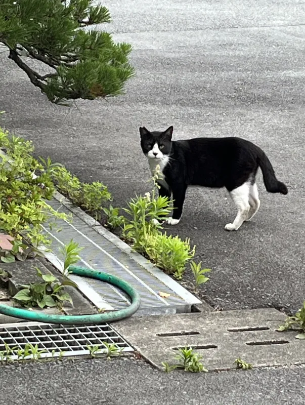 個人イベントのお礼