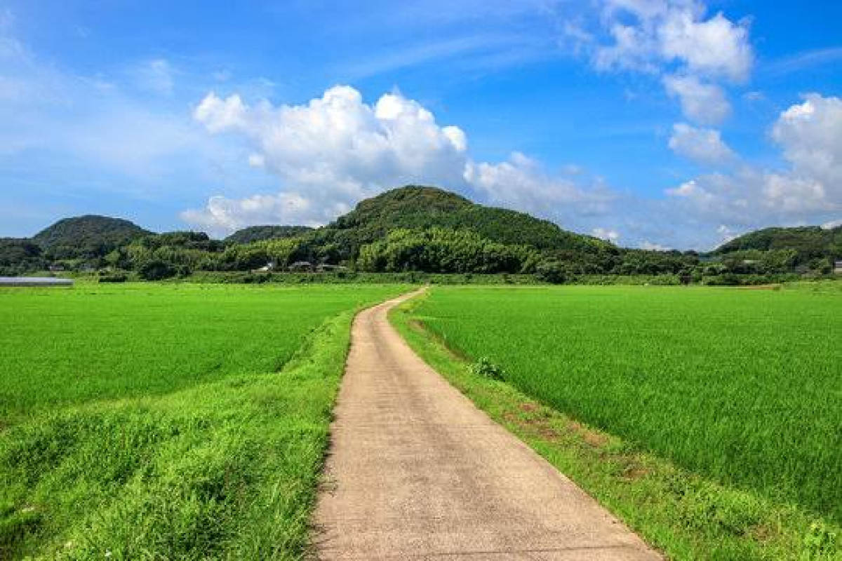 好きな匂い