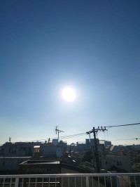 昭和の日