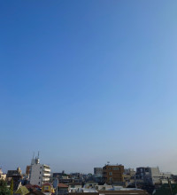 月初めのルーティン
