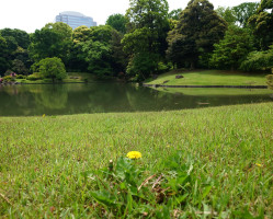 東京にはまだまだ素敵な所がいっぱい