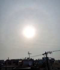 今朝の太陽