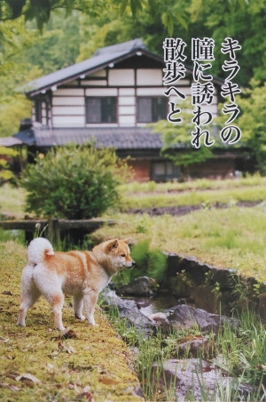 おはようございます！