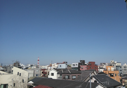 おはようございます！