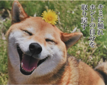 こどもの日