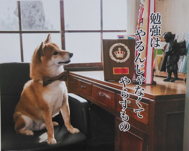コンディション