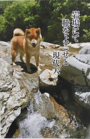 今日は何の日？