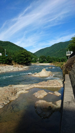 来年の夏には
