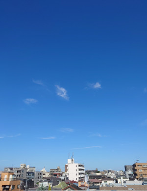 屋上なう