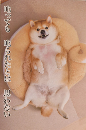 日曜日！