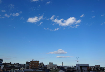 屋上なう