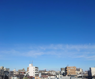 掃除