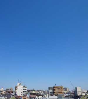 屋上なう