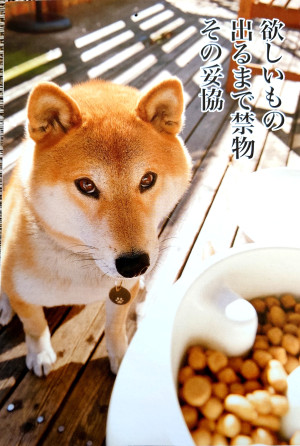 グッドモーニング