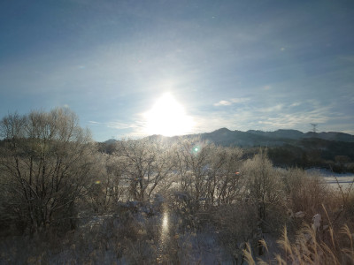 山形から