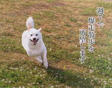 開運アクション