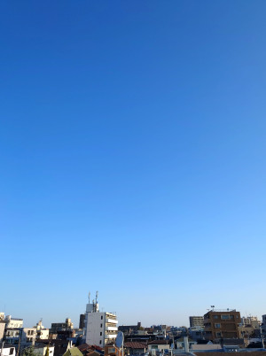 進化