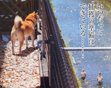 ルーティン