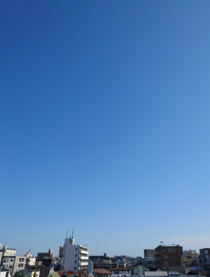 真夏日