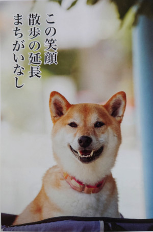 グッモーニング