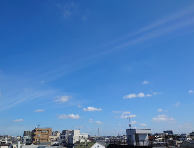 雑じゃないって