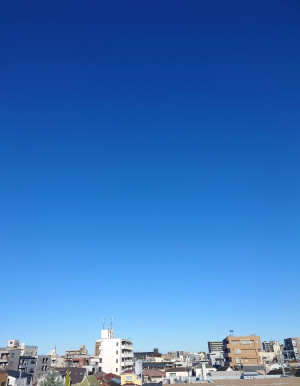 今日の言葉