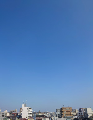 野球道