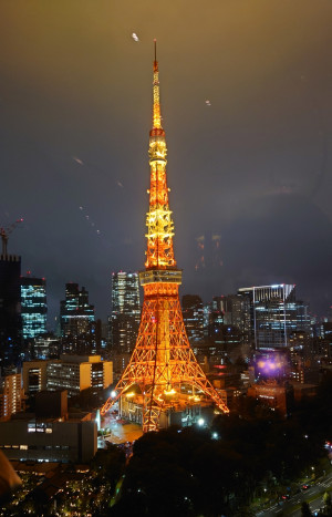 好きな夜景