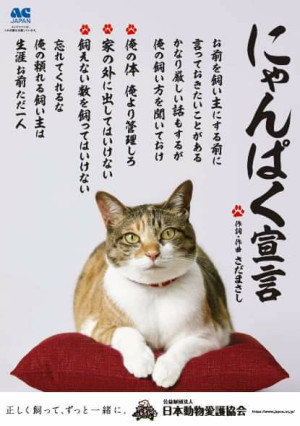 今日は何の日？