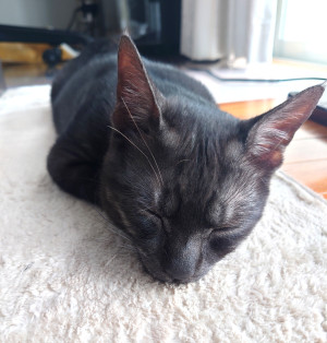 今日はどんな日？