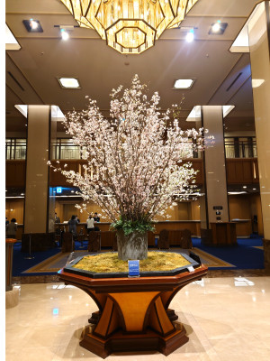 そろそろ開花かな