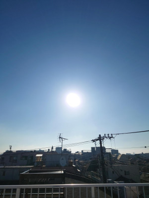 昭和の日