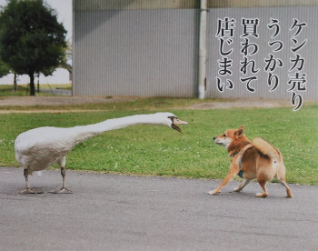 7月半ば