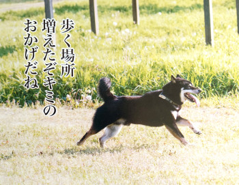今日はイベント